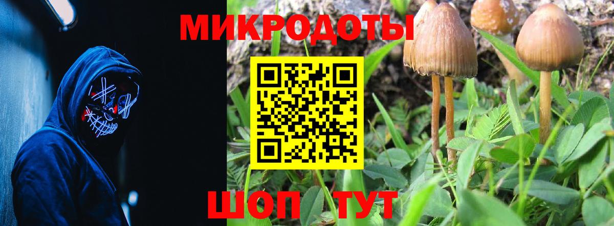 Галлюциногенные грибы мухоморы  Вход с VPN  Ярославль 