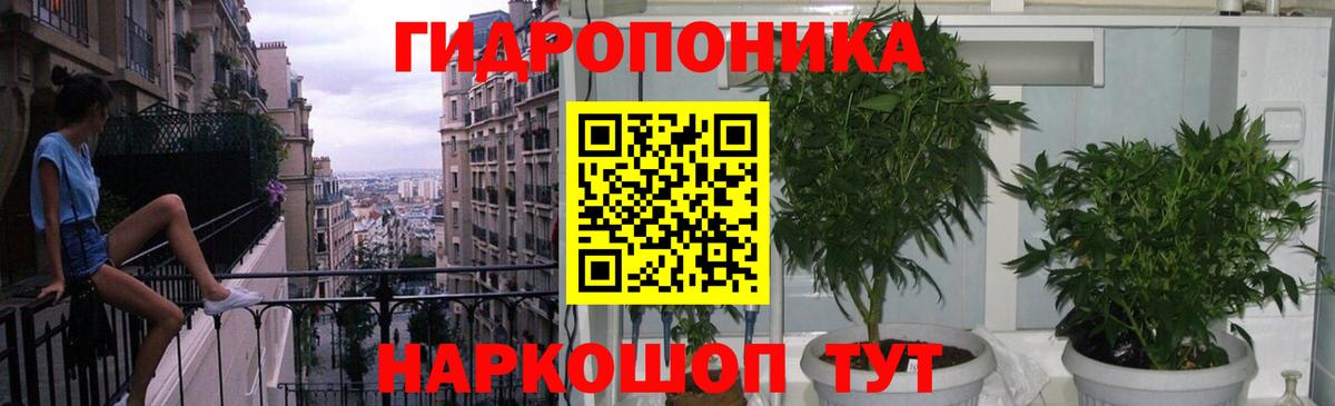 Бошки Шишки SATIVA & INDICA  Вход с VPN  Бошки Шишки Bruce Banner  Ярославль  Бошки Шишки SATIVA & INDICA 